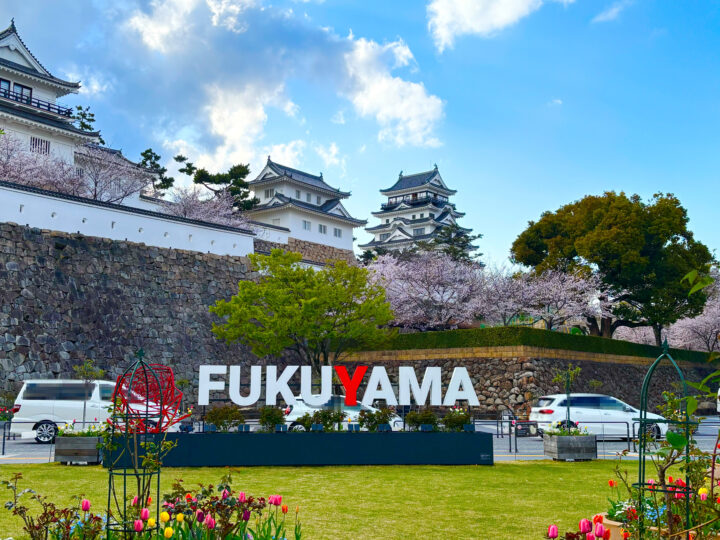 お棺に入れるお花に込められたものの画像